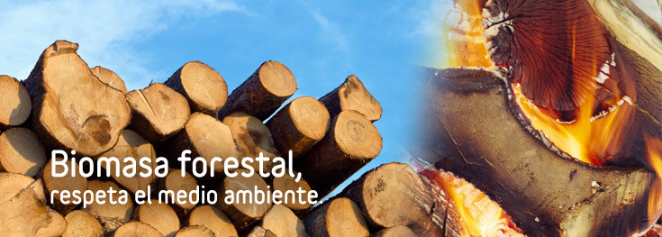 Venta online de biomasa forestal